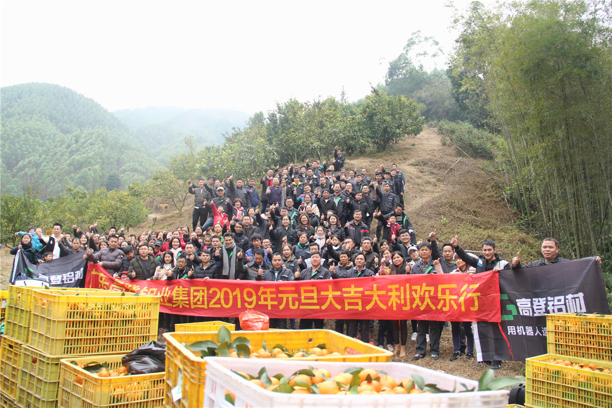 2019元旦大吉大利欢乐行